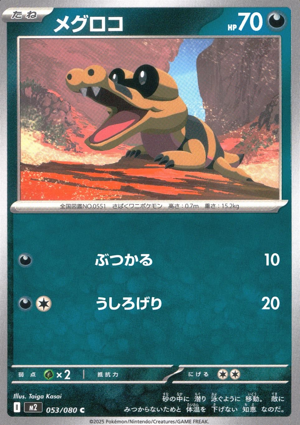 053/080/M2/B/C メグロコ