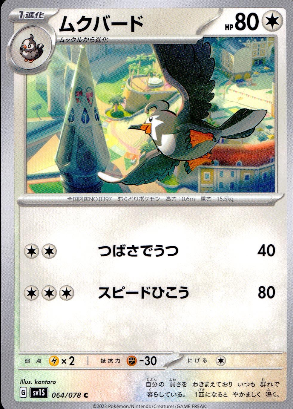 064/078/SV1S/B/C ムクバード
