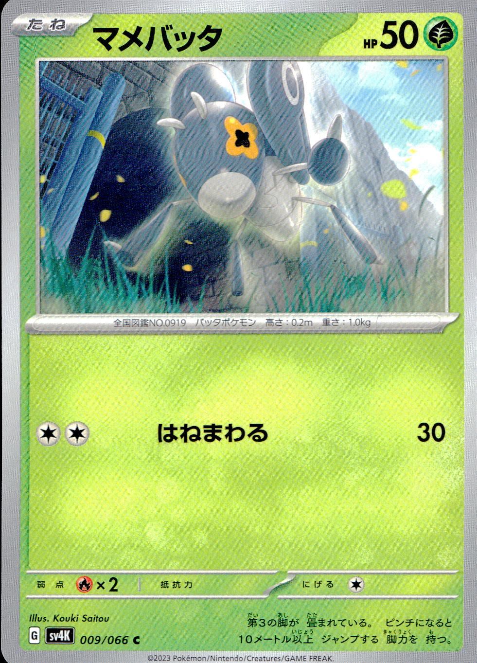 009/066/SV4K/B/C マメバッタ