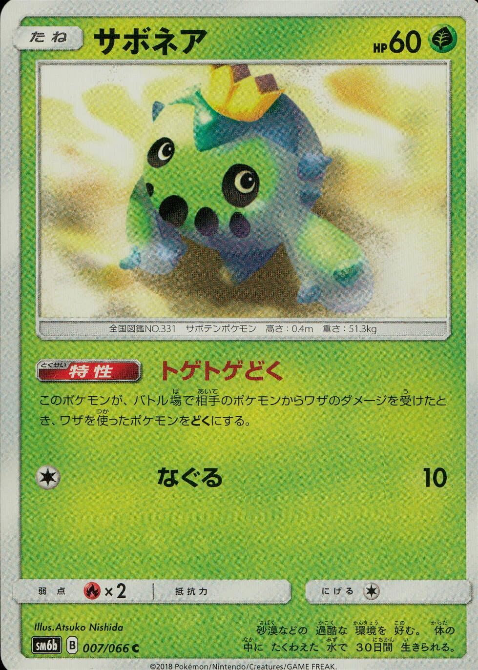 007/066/SM6B/サボネア