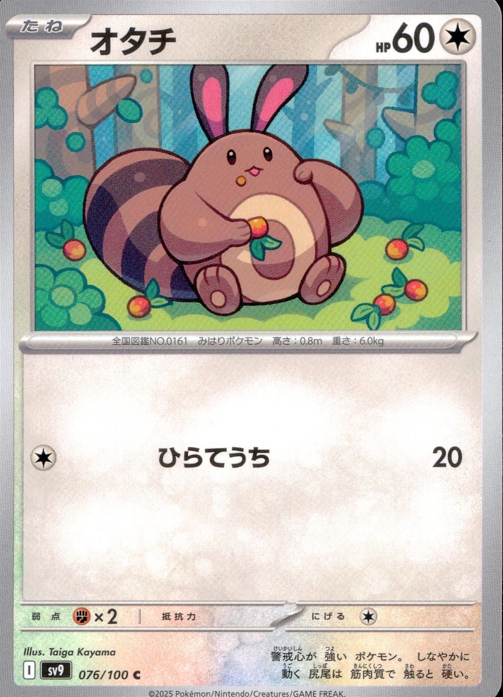 076/100/SV9/B/C オタチ