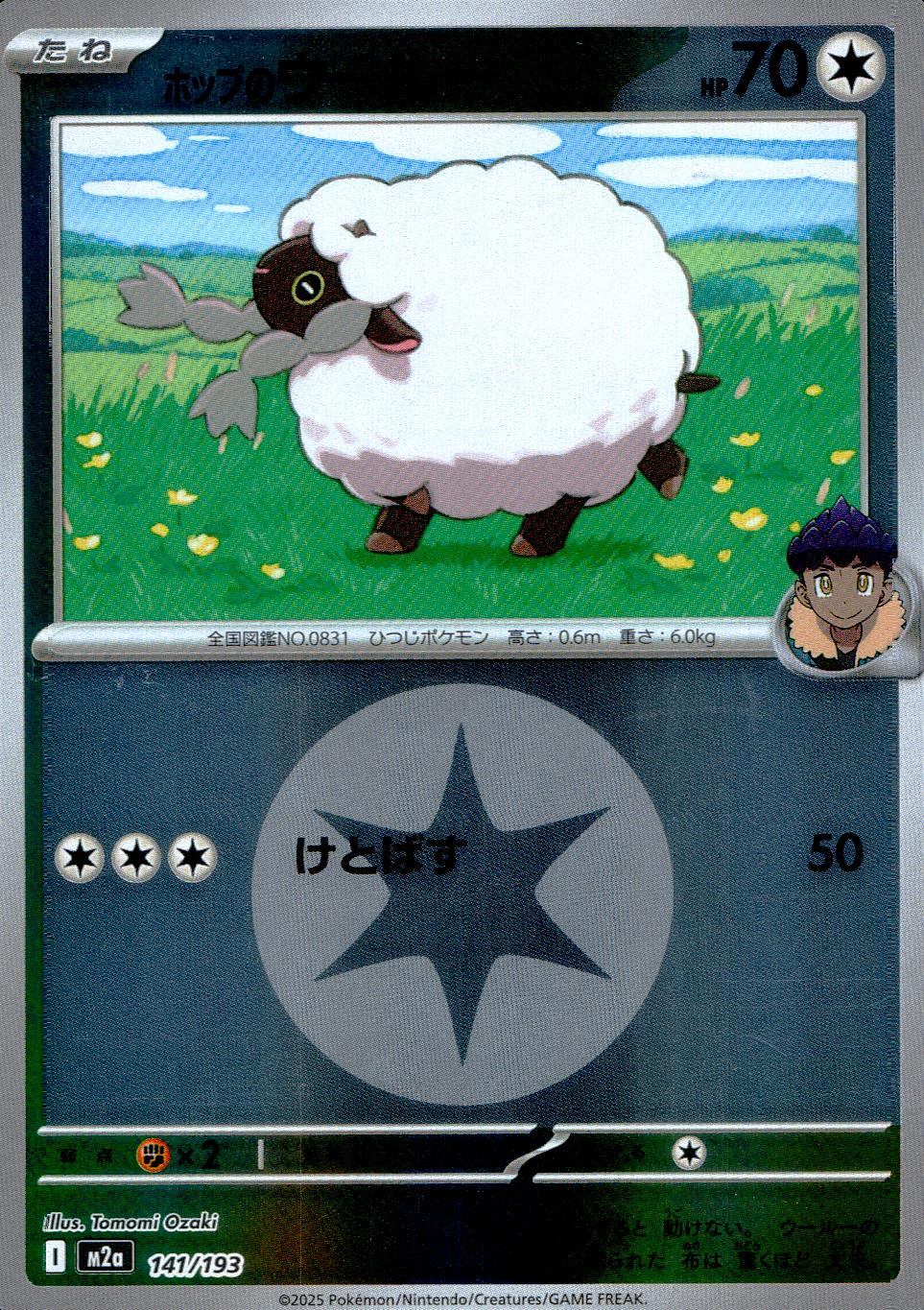 141/193/M2a/MB2 ホップのウールー(エネルギーミラー)