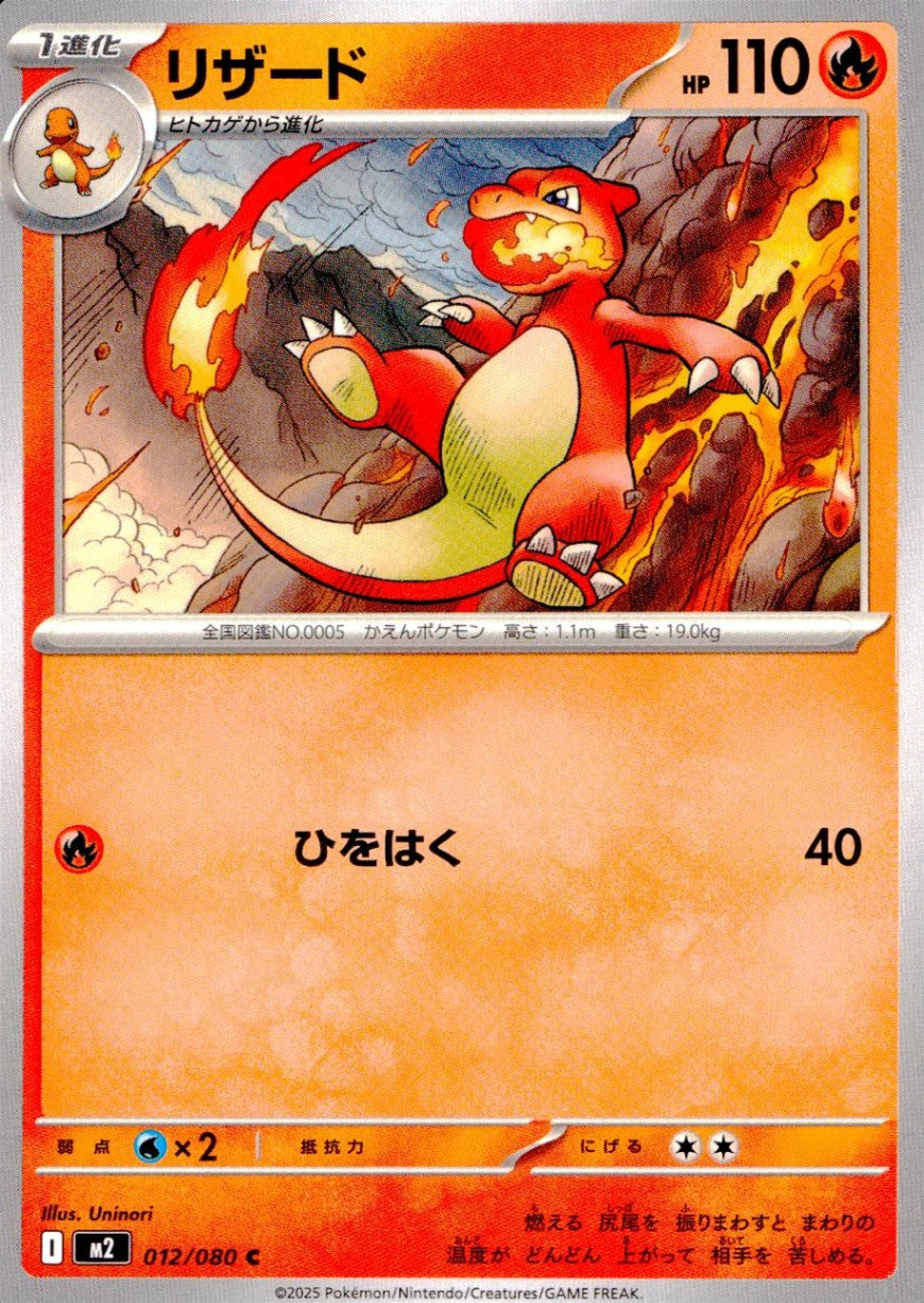012/080/M2/B/C リザード