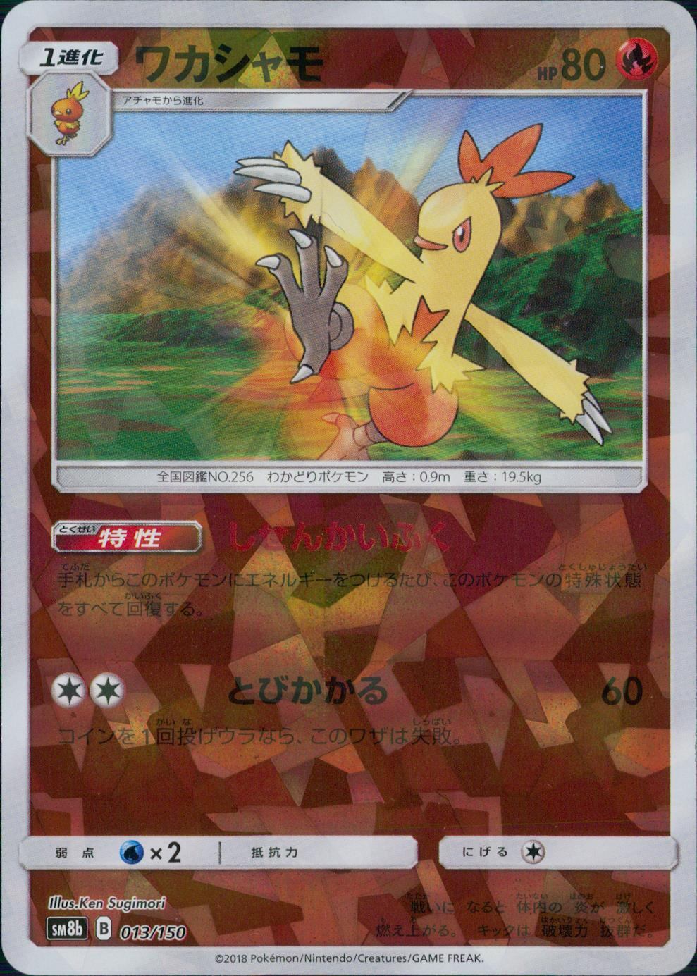 013/150/SM8B/ミラー ワカシャモ
