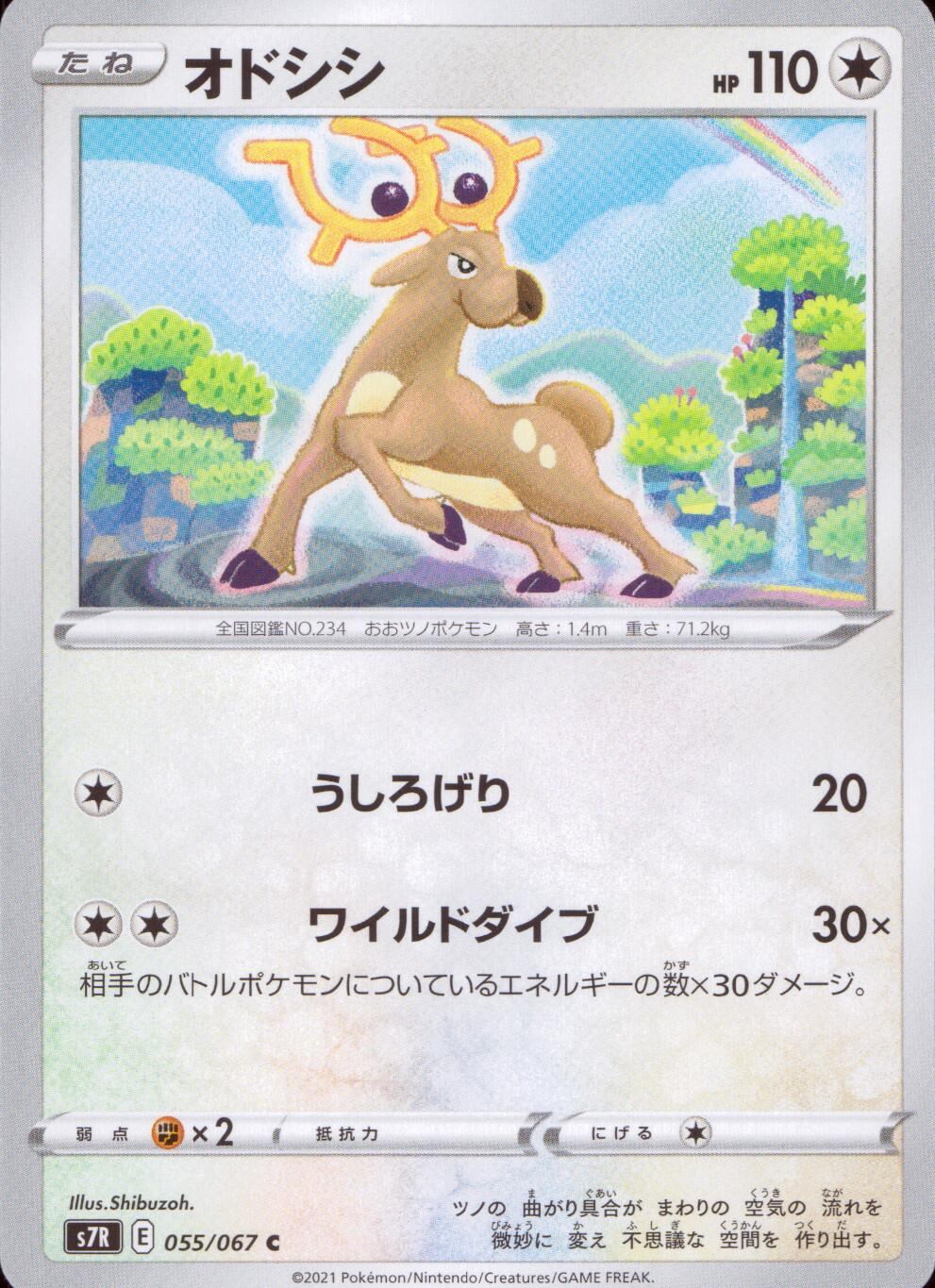 055/067/S7R/B/C オドシシ