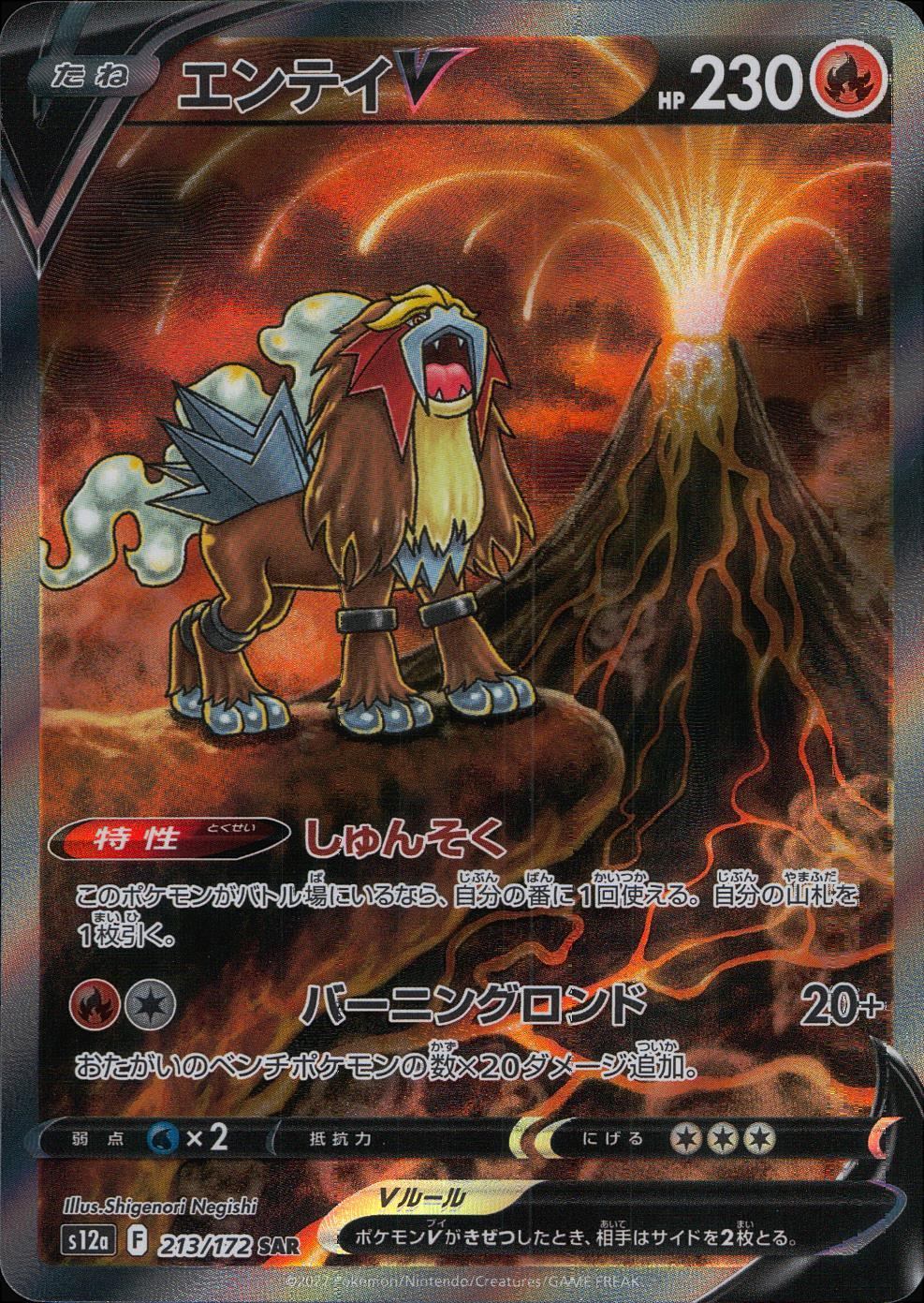 213/172/S12A/B/SAR Entei V