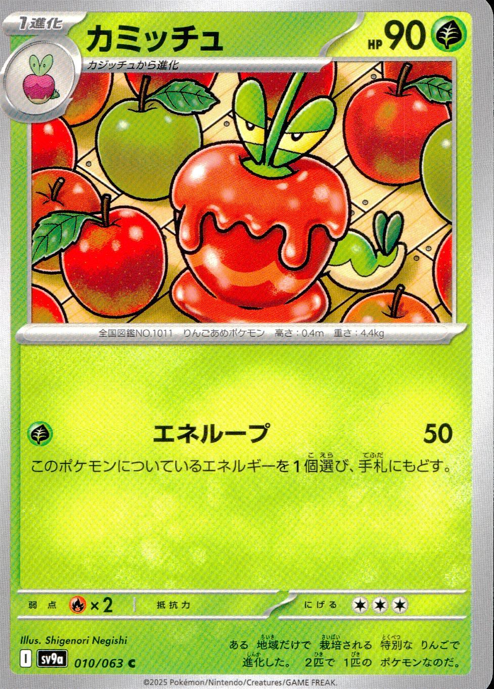 010/063/SV9A/B/C カミッチュ