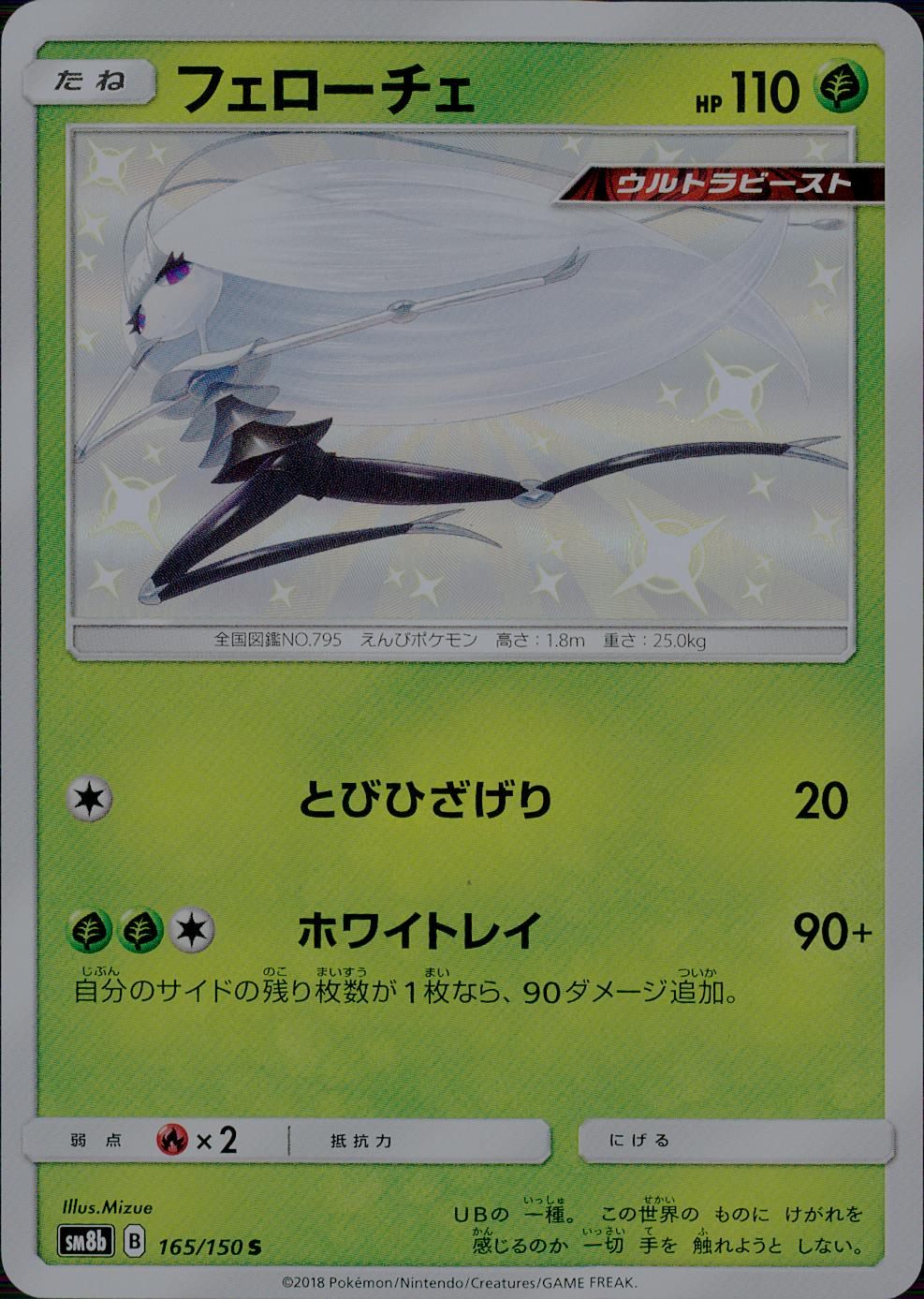 165/150/SM8B/B フェローチェ