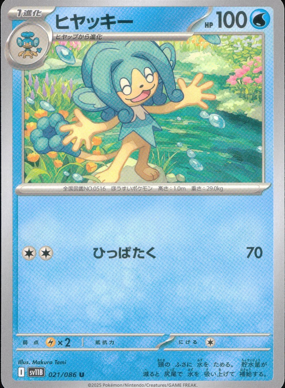 021/086/SV11B/B/U Hiyakki