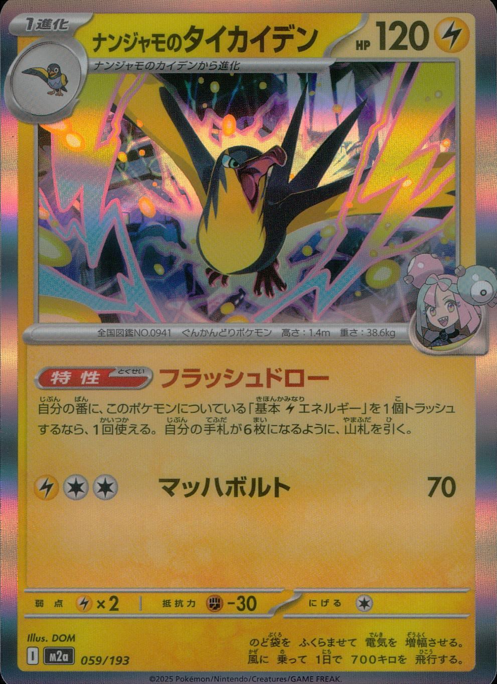 059/193/M2a ナンジャモのタイカイデン