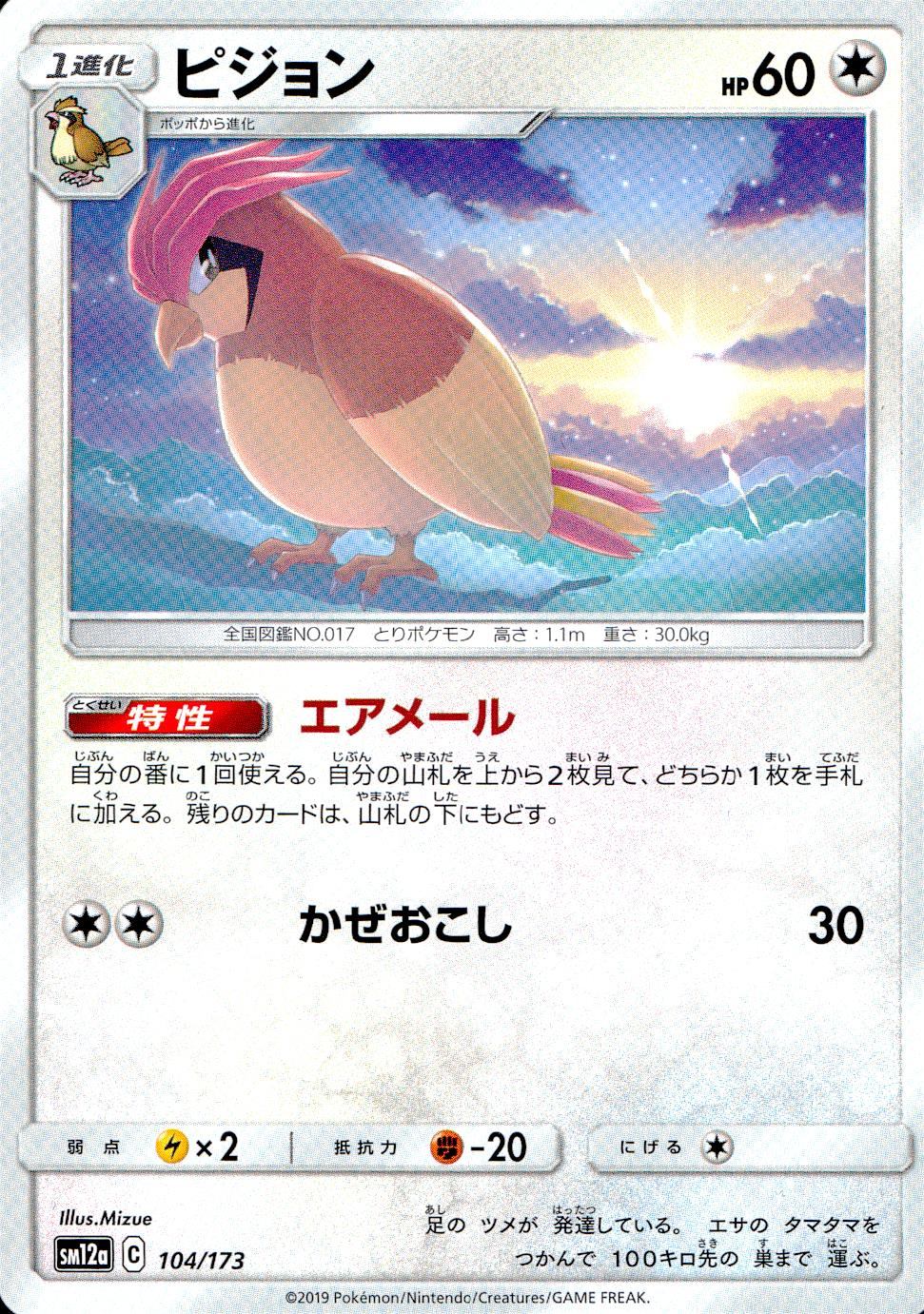 104/173/SM12A/ピジョン