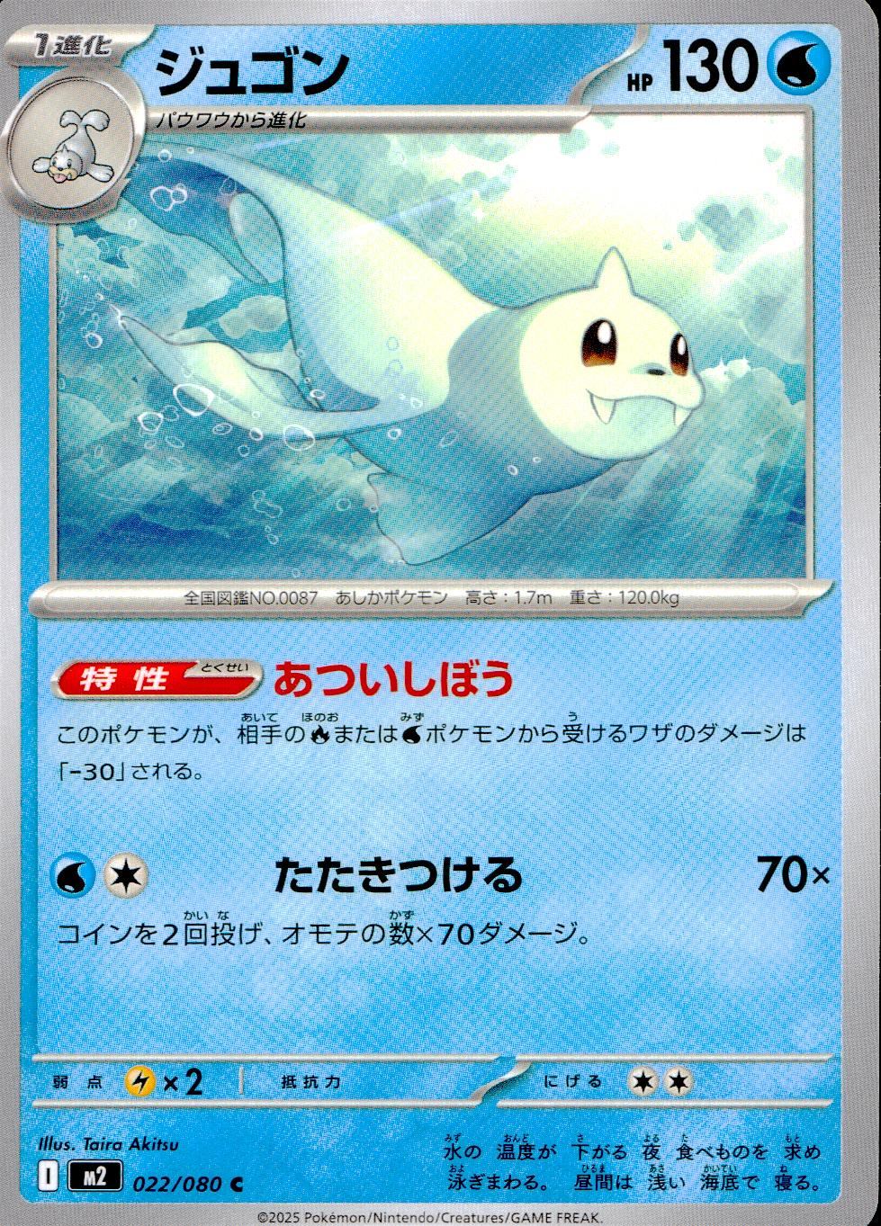 022/080/M2/B/C ジュゴン