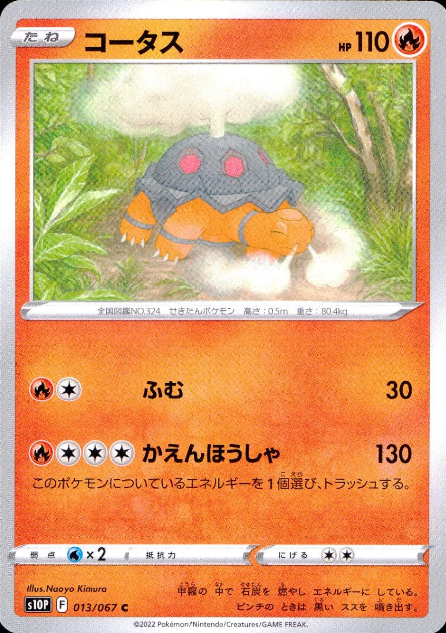 013/067/S10P/B/C Tortoise