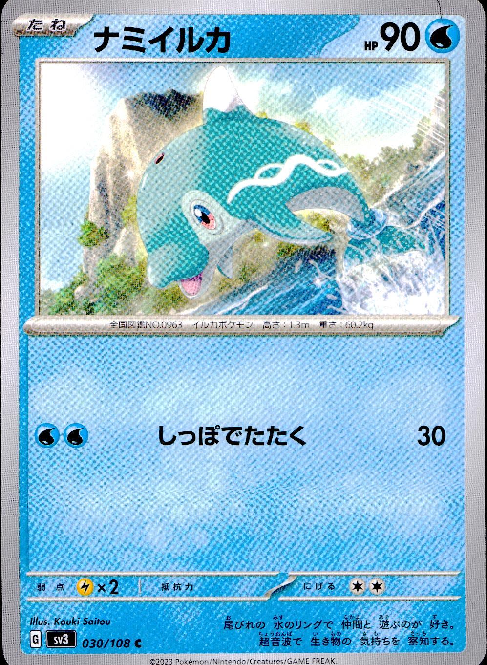 030/108/SV3/B/C Pacific dolphin