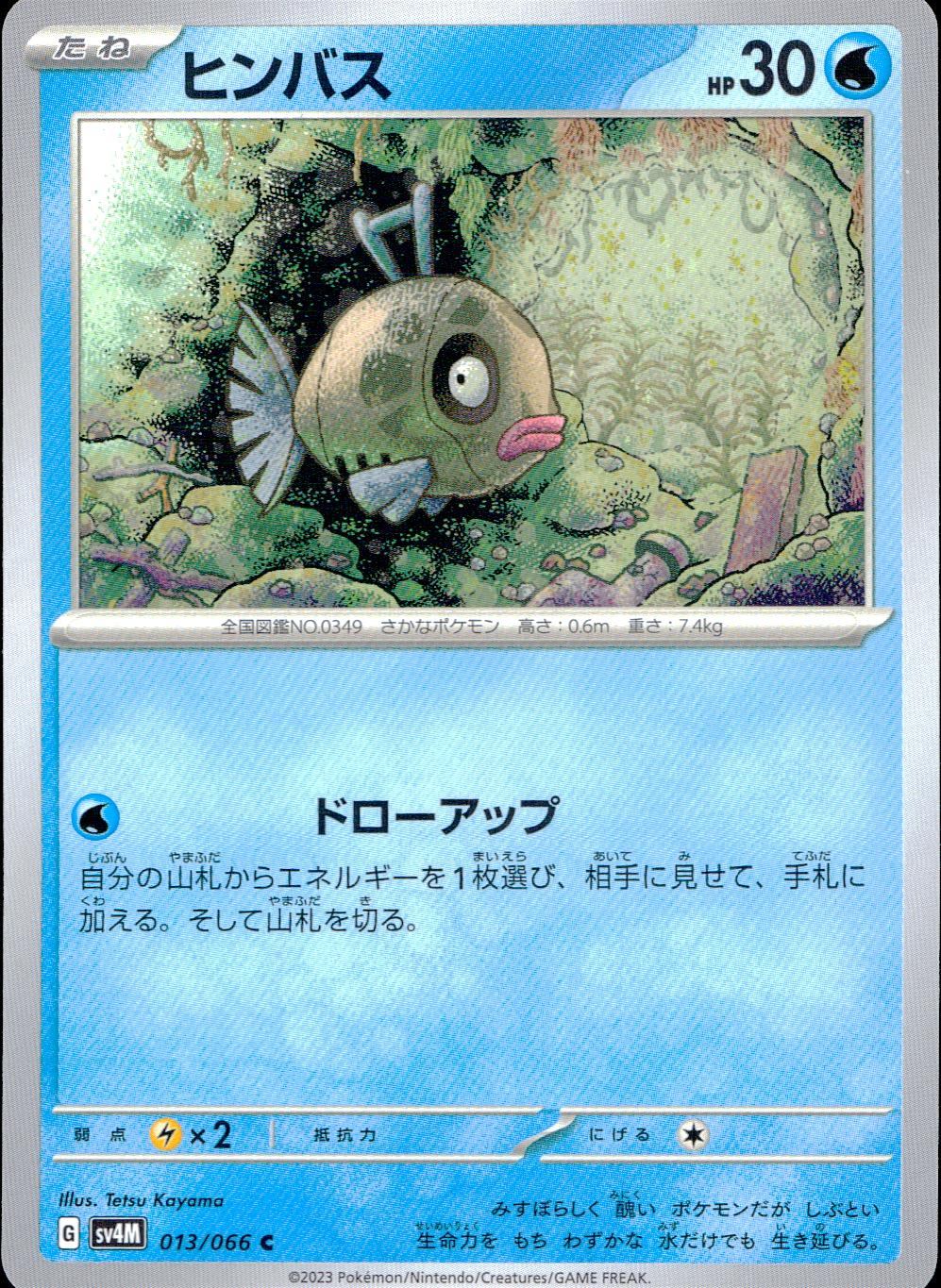 013/066/SV4M/B/C Feebas