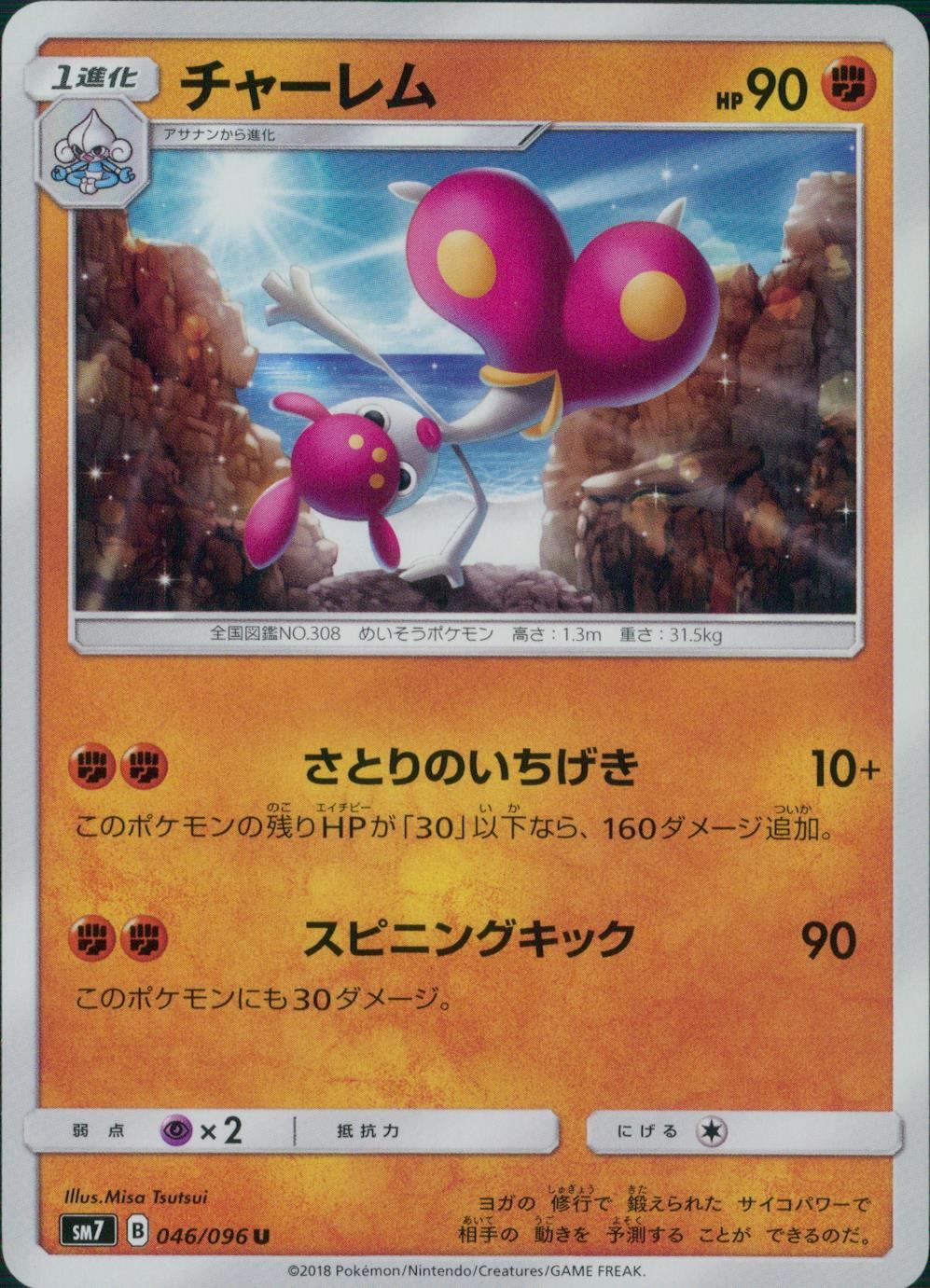 046/096/SM7/チャーレム