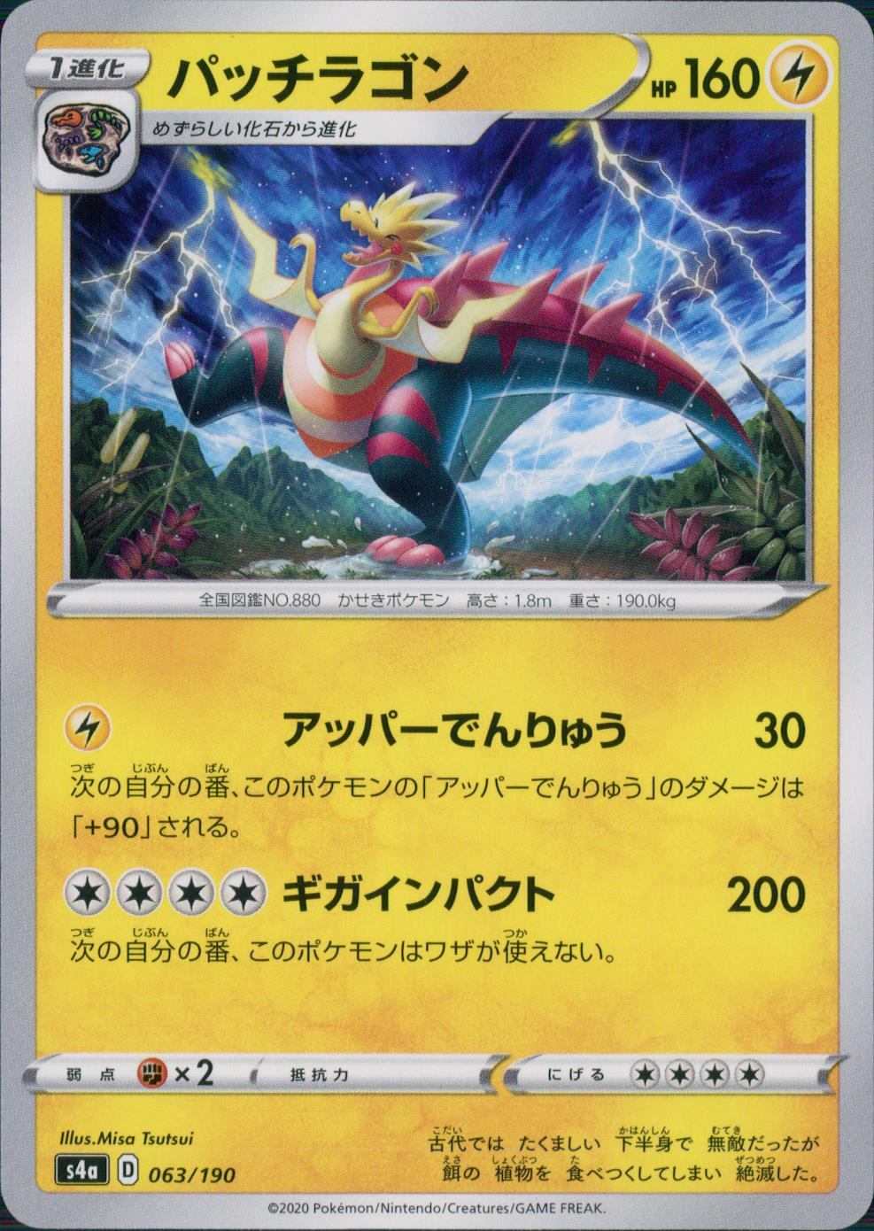 063/190/S4A/B パッチラゴン