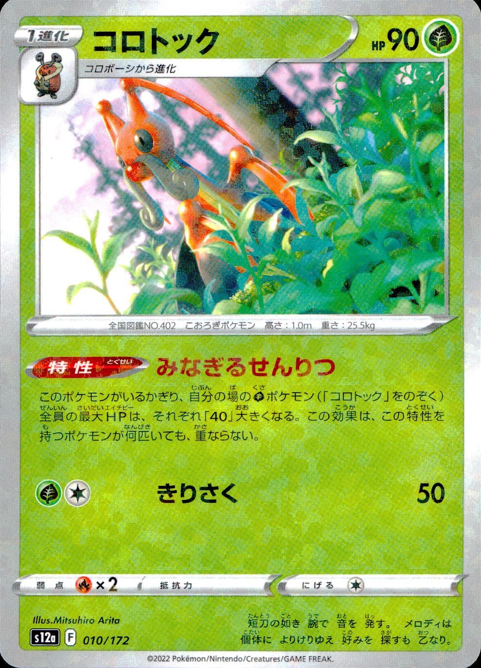 010/172/S12A/BM コロトック ミラー