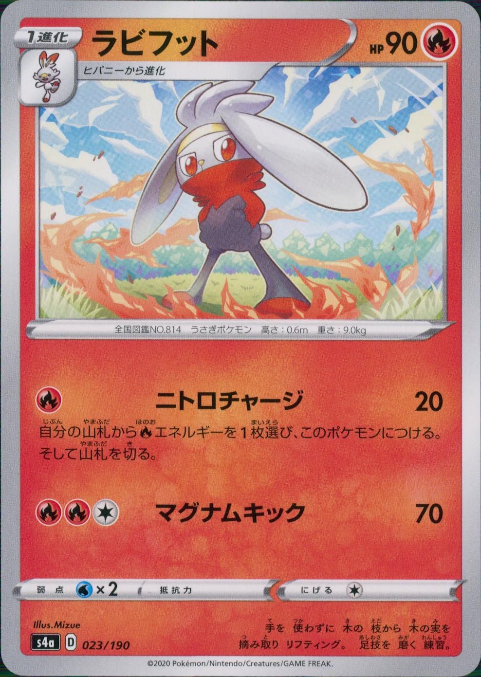 023/190/S4A/B ラビフット