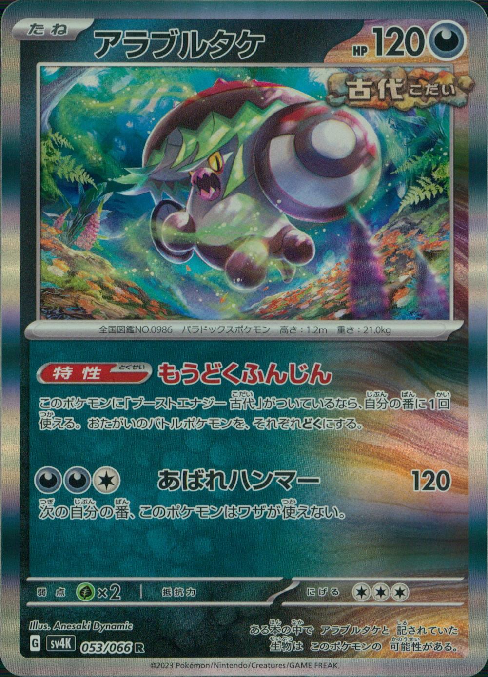 053/066/SV4K/B/R アラブルタケ