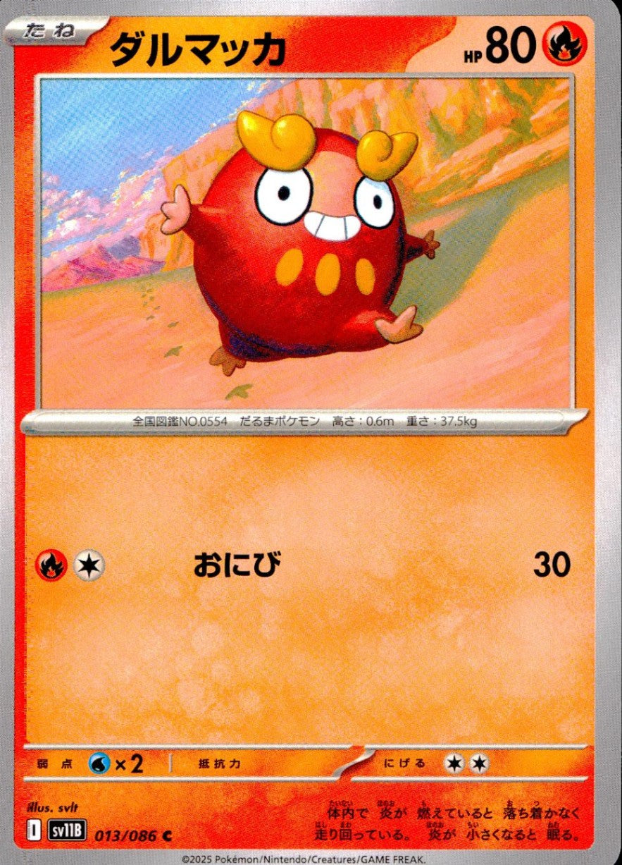 013/086/SV11B/B/C Darumakka