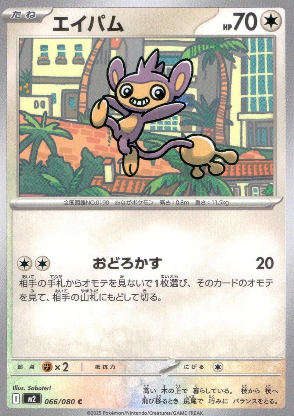 066/080/M2/B/C エイパム