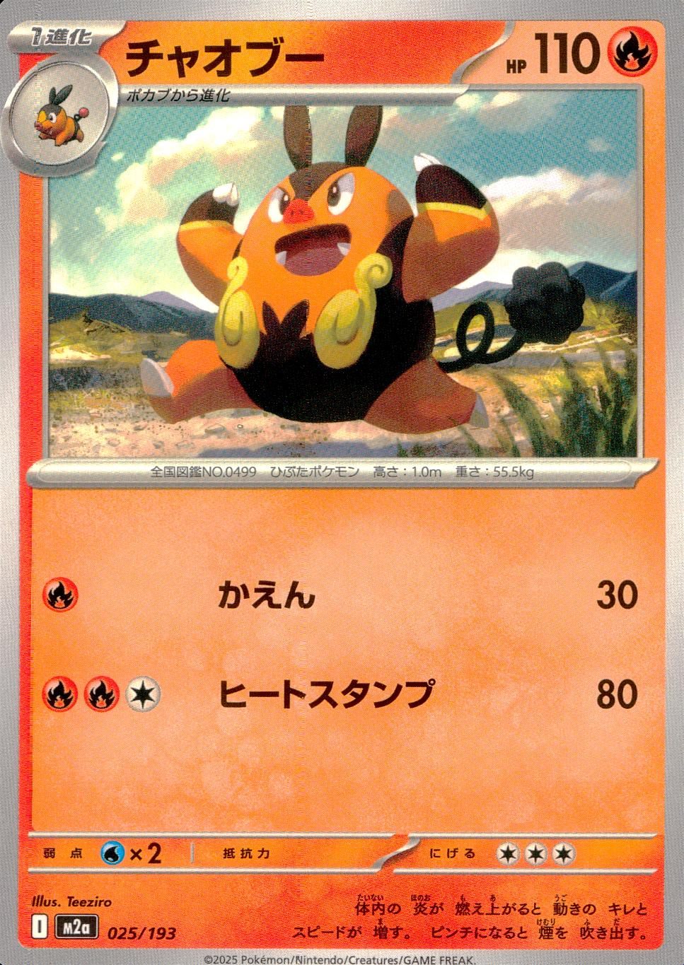 025/193/M2a チャオブー