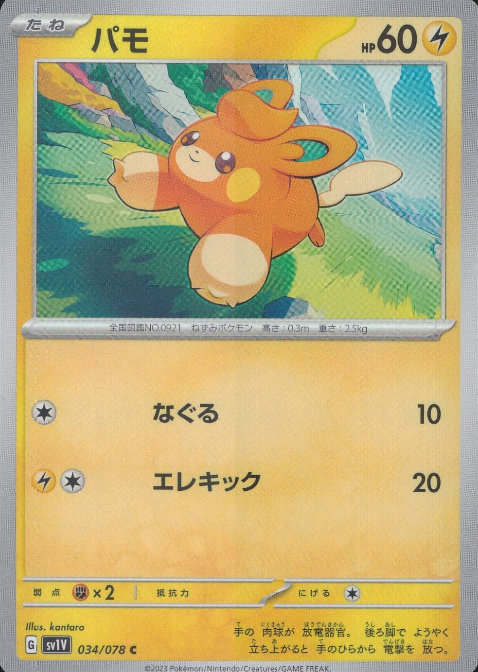 034/078/SV1V/B/C パモ