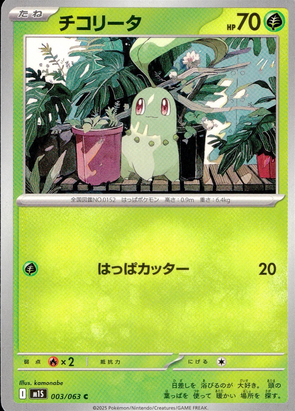 003/063/M1S/B/C Chikorita
