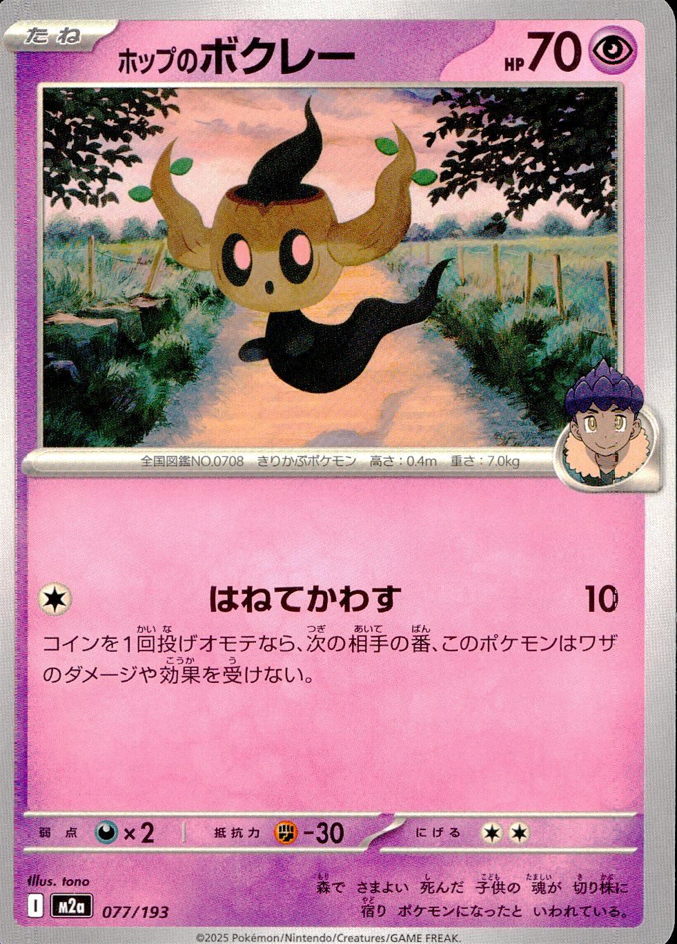 077/193/M2a ホップのボクレー