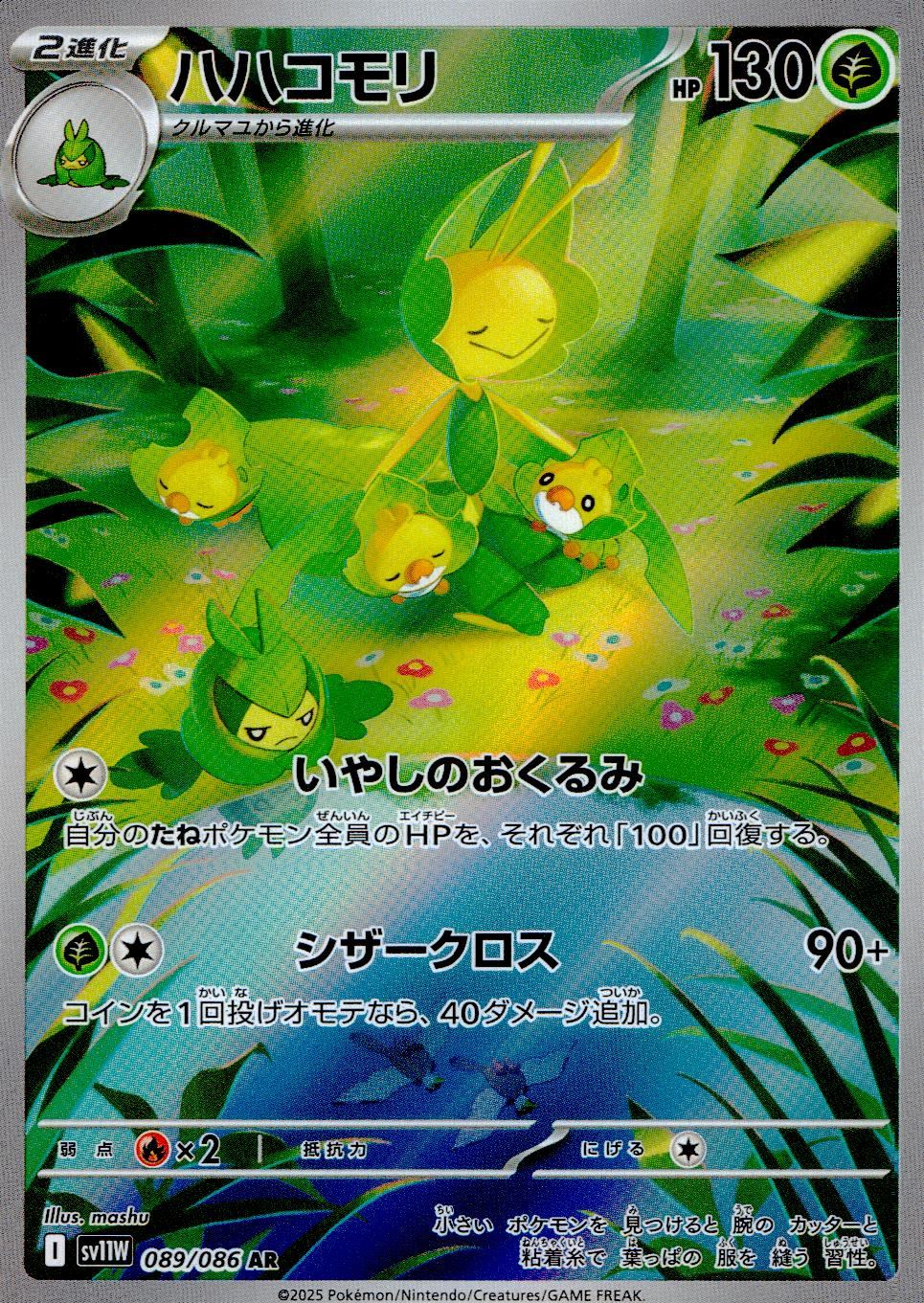 089/086/SV11W/B/AR ハハコモリ