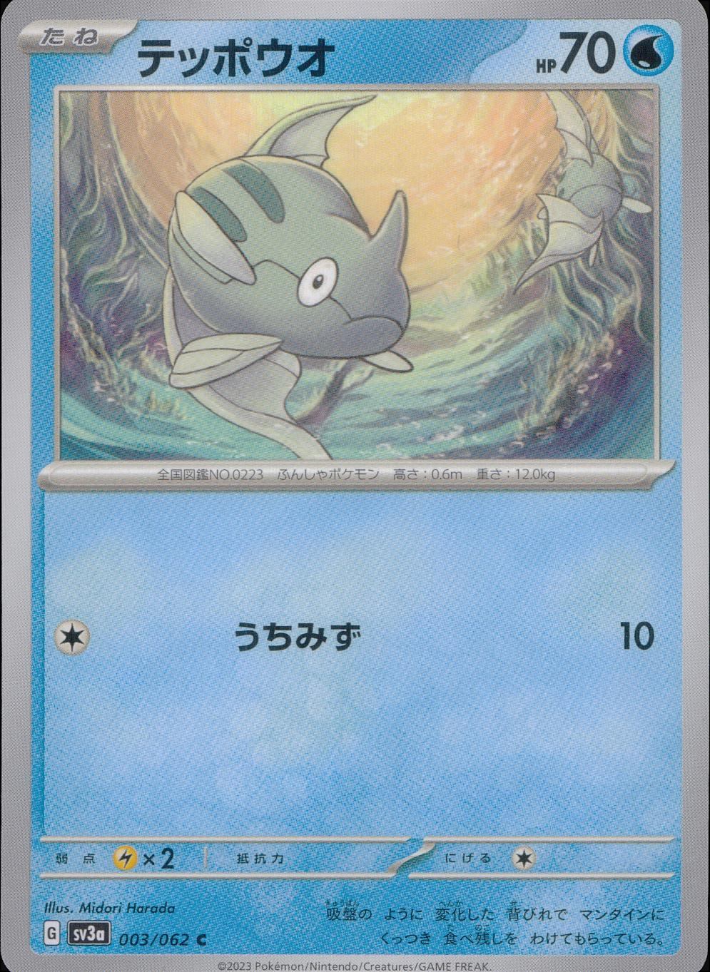003/062/SV3A/B/C テッポウオ