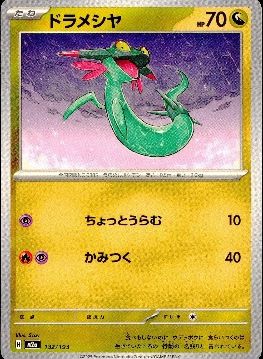 132/193 /M2a ドラメシヤ