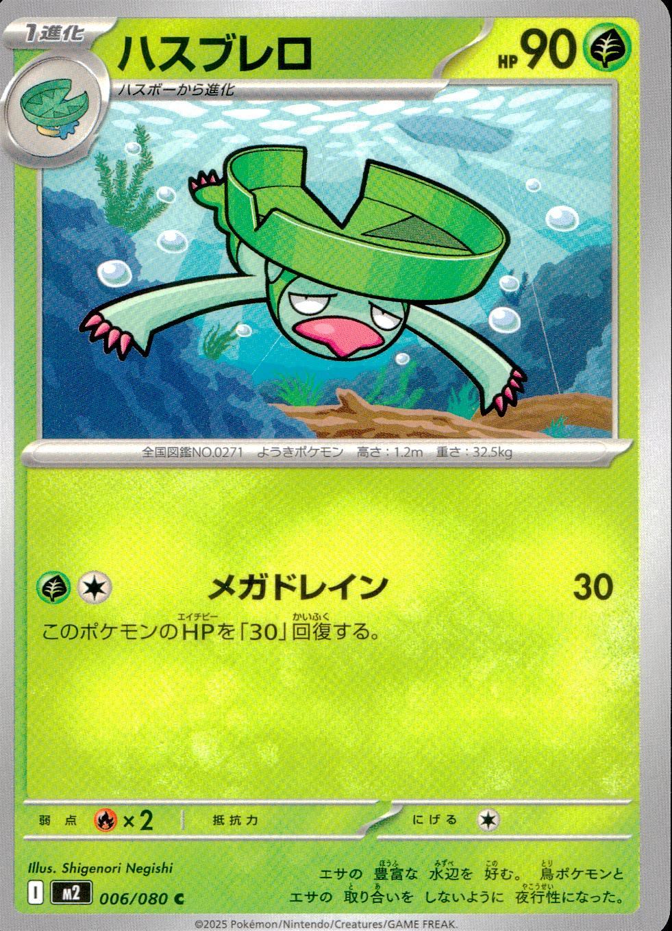 006/080/M2/B/C ハスブレロ