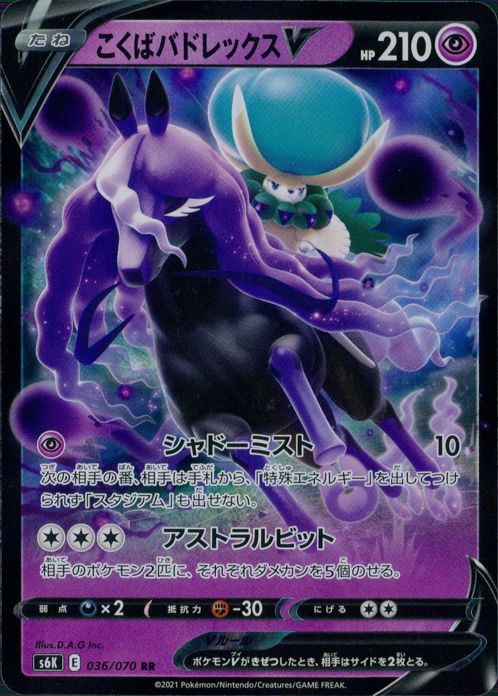 036/070/S6K/B/RR こくばバドレックスV