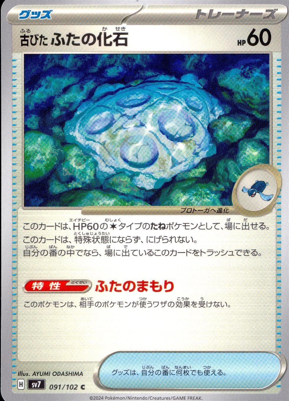 091/102/SV7/B/C Old lid fossil