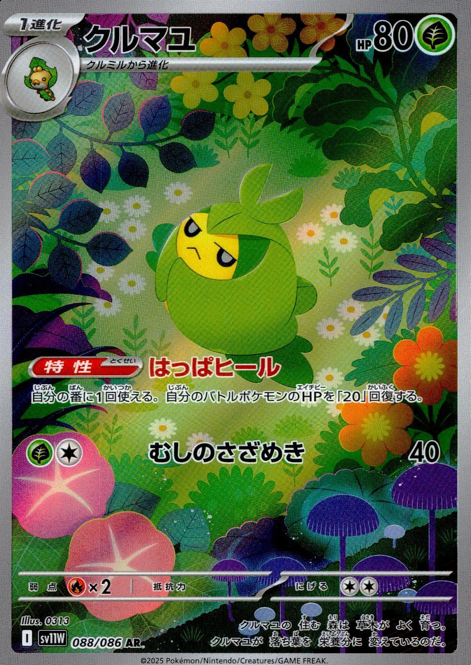 088/086/SV11W/B/AR クルマユ