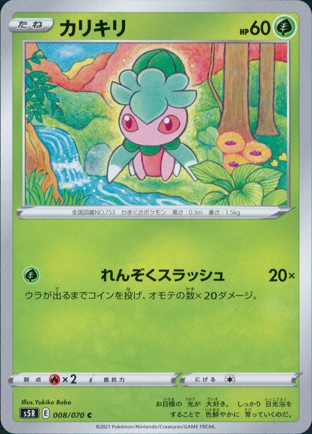 008/070/S5R/B/C カリキリ