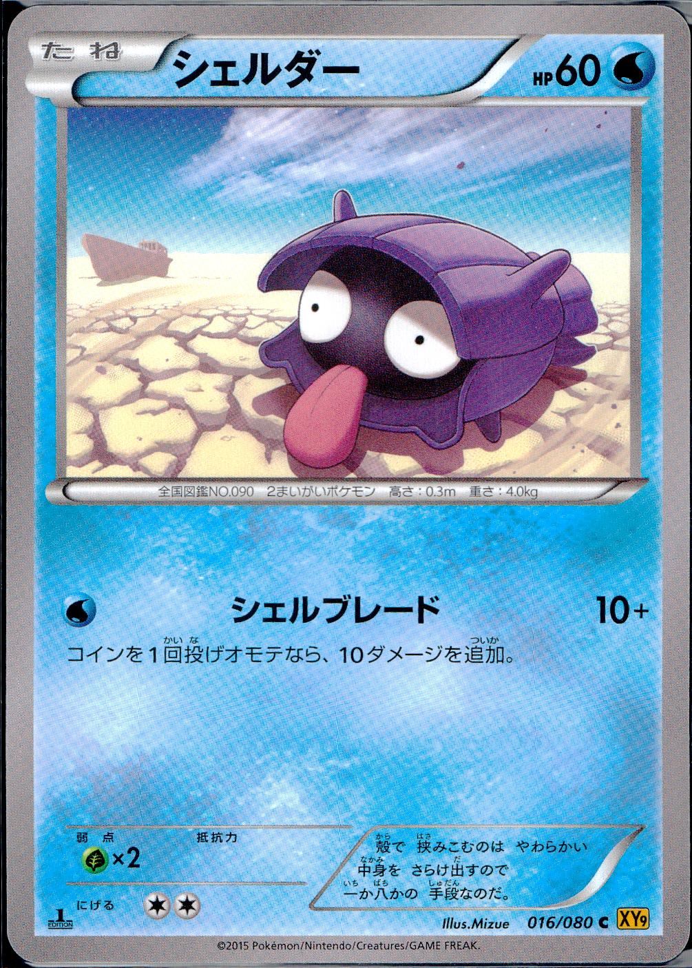 016/080/C/XY9/B シェルダー