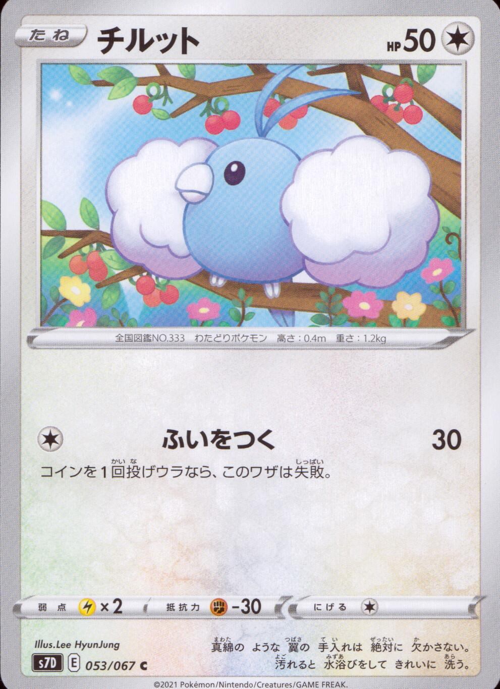 053/067/S7D/B/C チルット