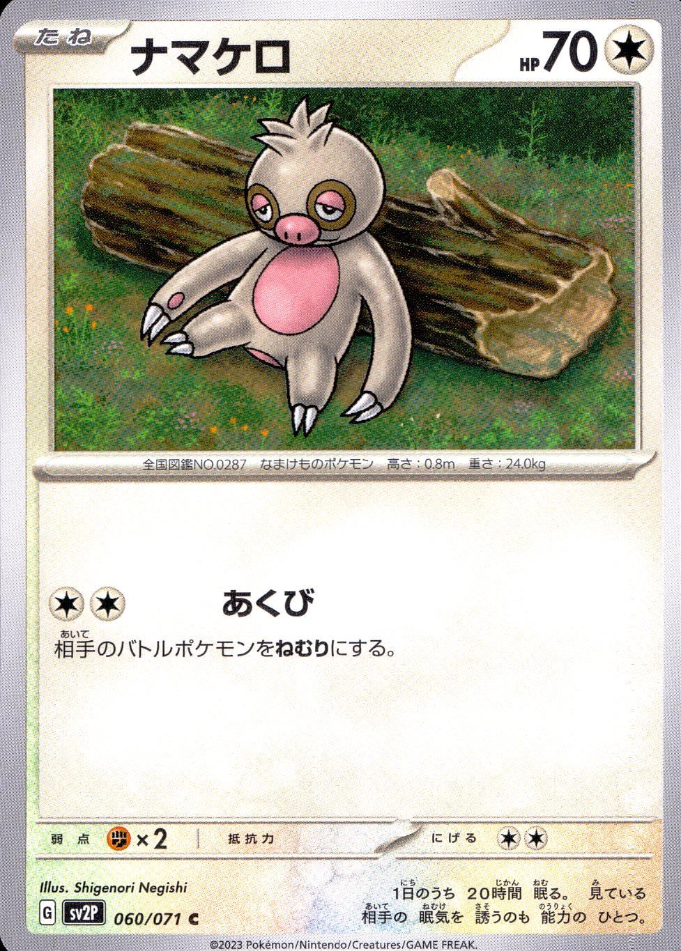 060/071/SV2P/B/C Slosh