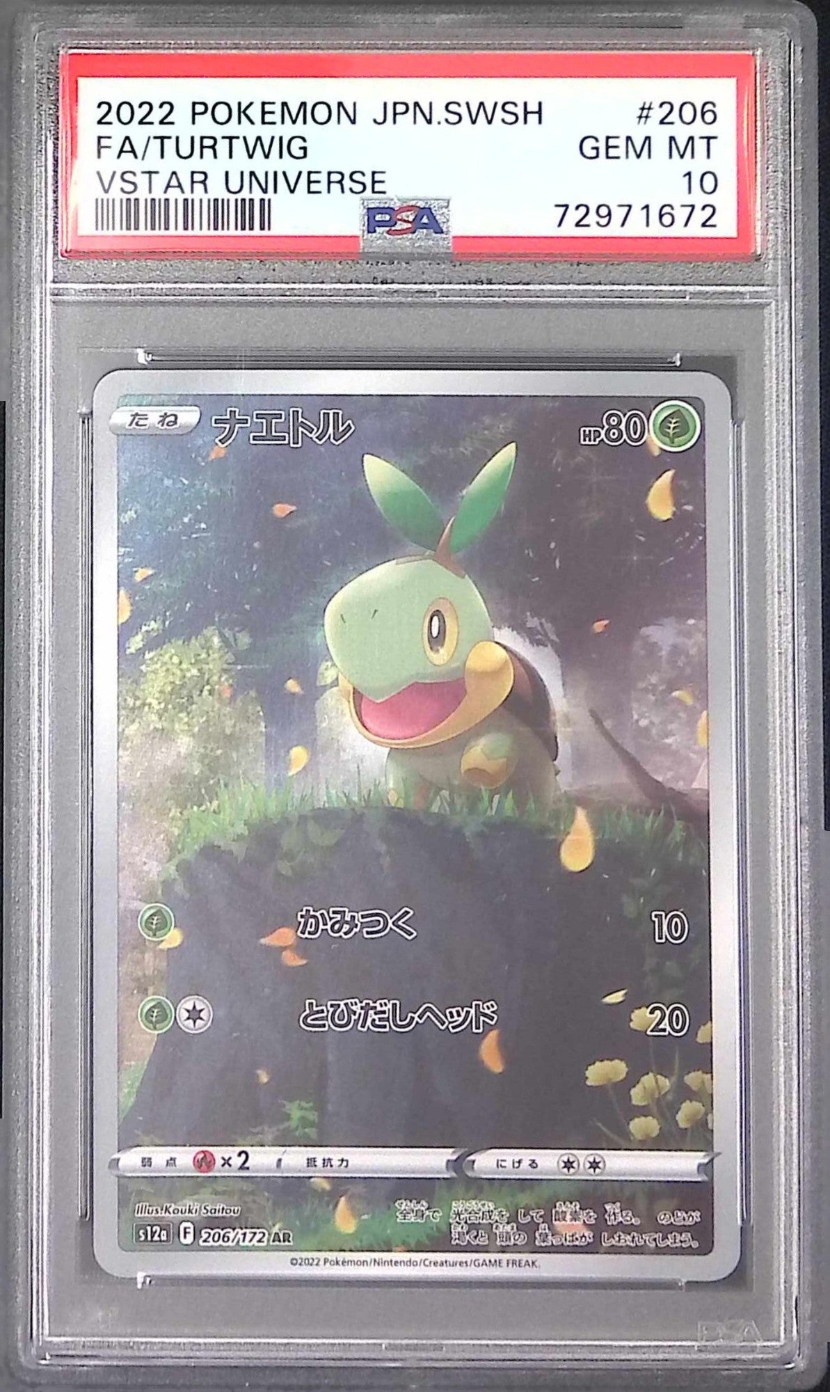 206/172 ナエトル AR PSA10 72971672