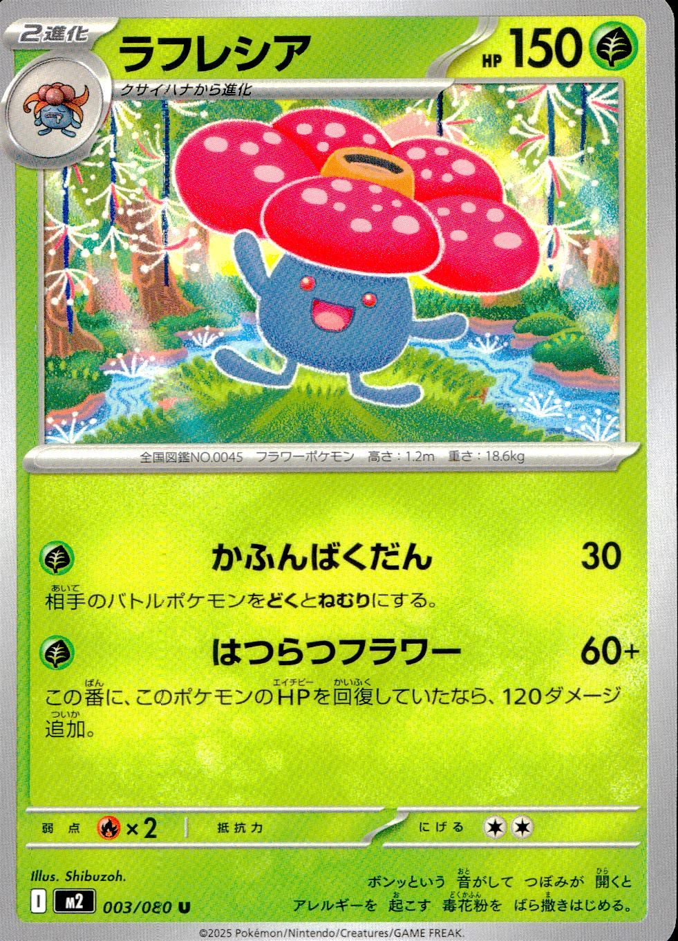 003/080/M2/B/U ラフレシア