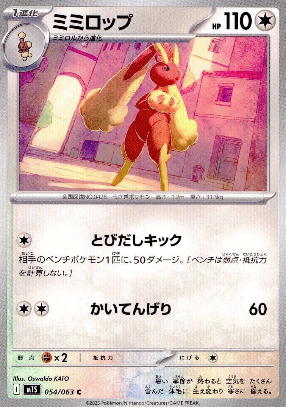 054/063/M1S/B/C ミミロップ