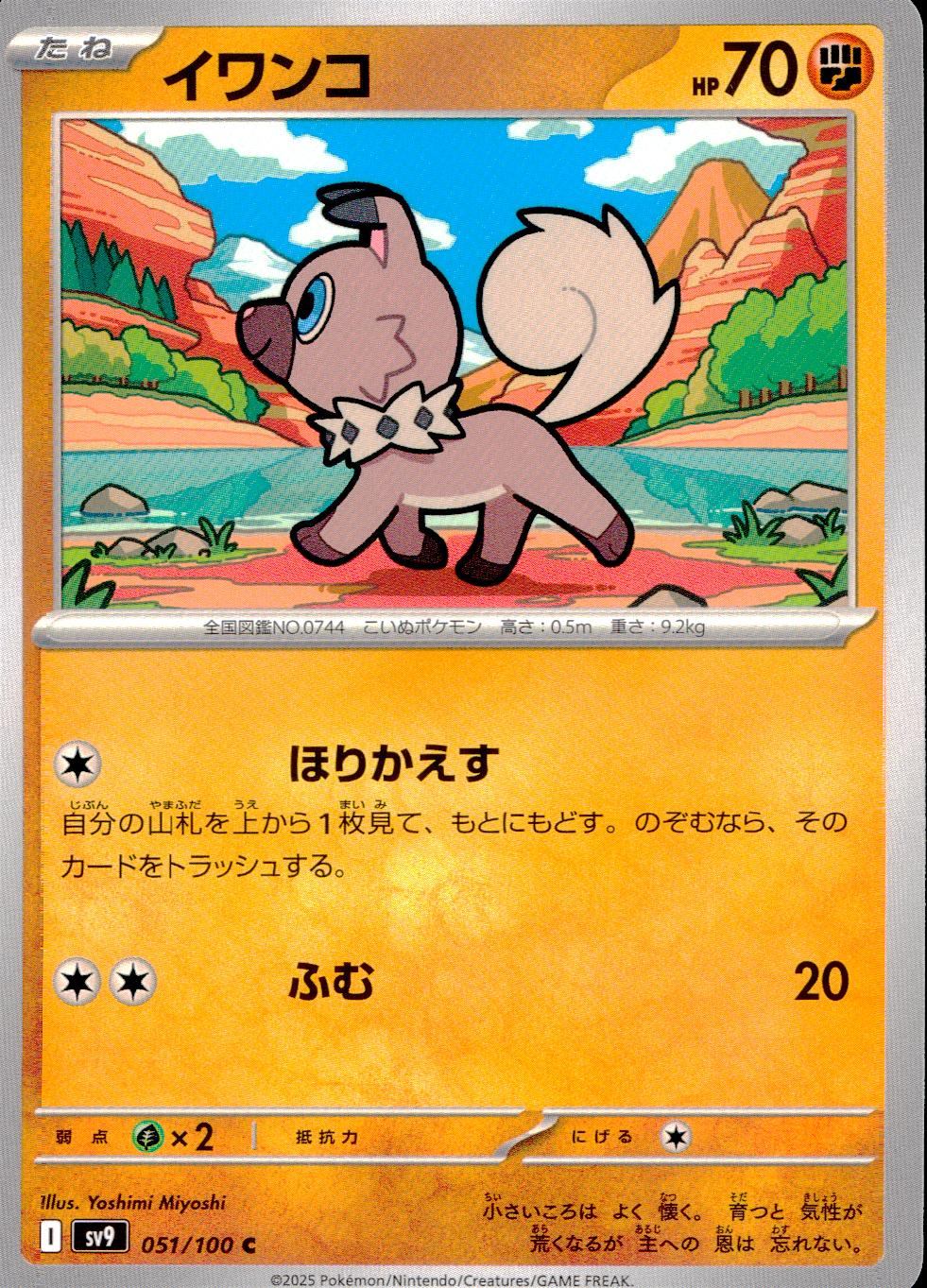 051/100/SV9/B/C イワンコ