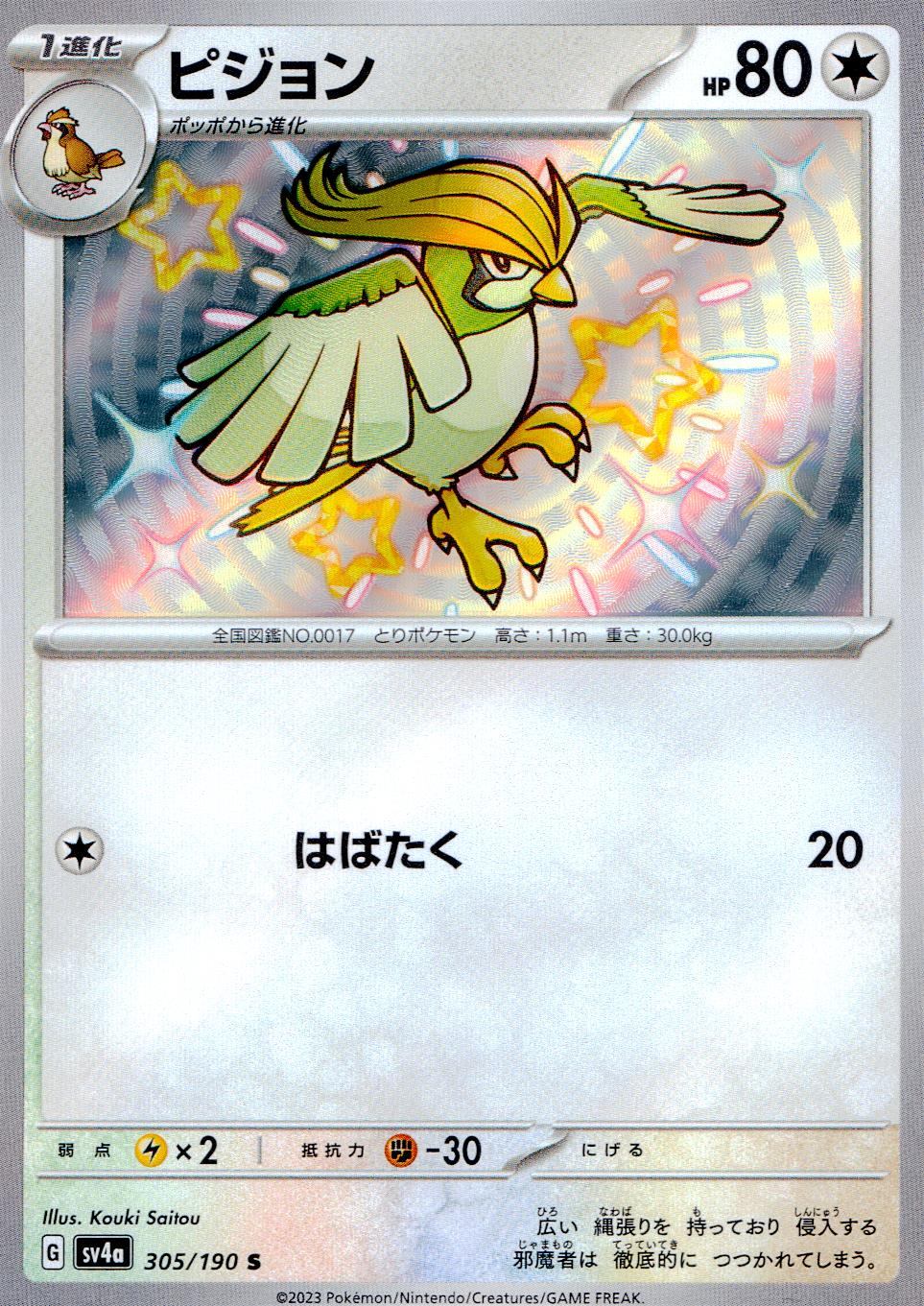 305/190/SV4A/B ピジョン