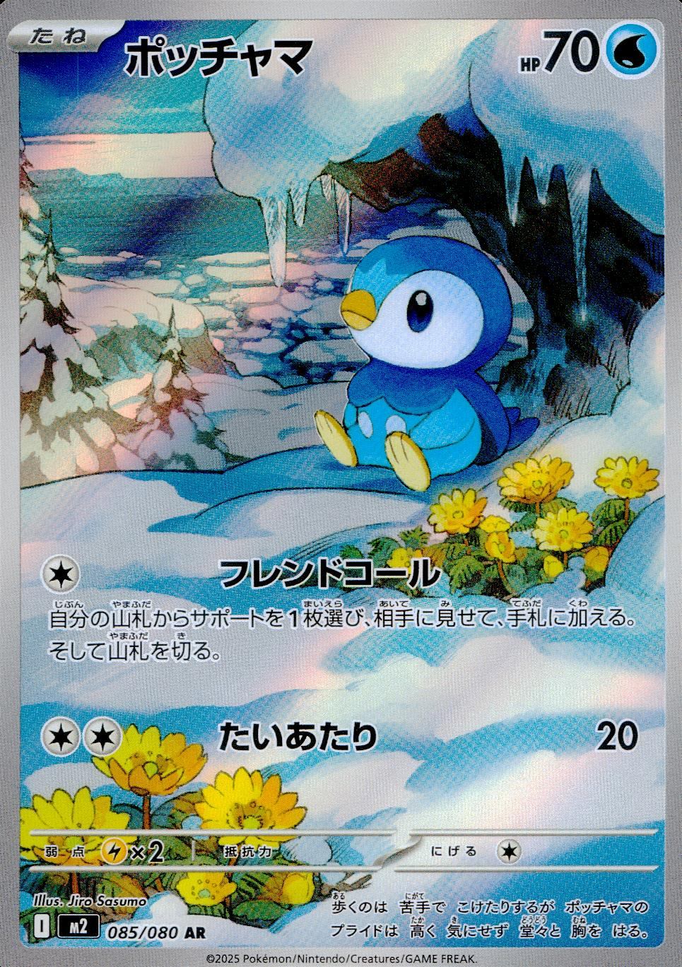 085/080/M2/B/AR ポッチャマ