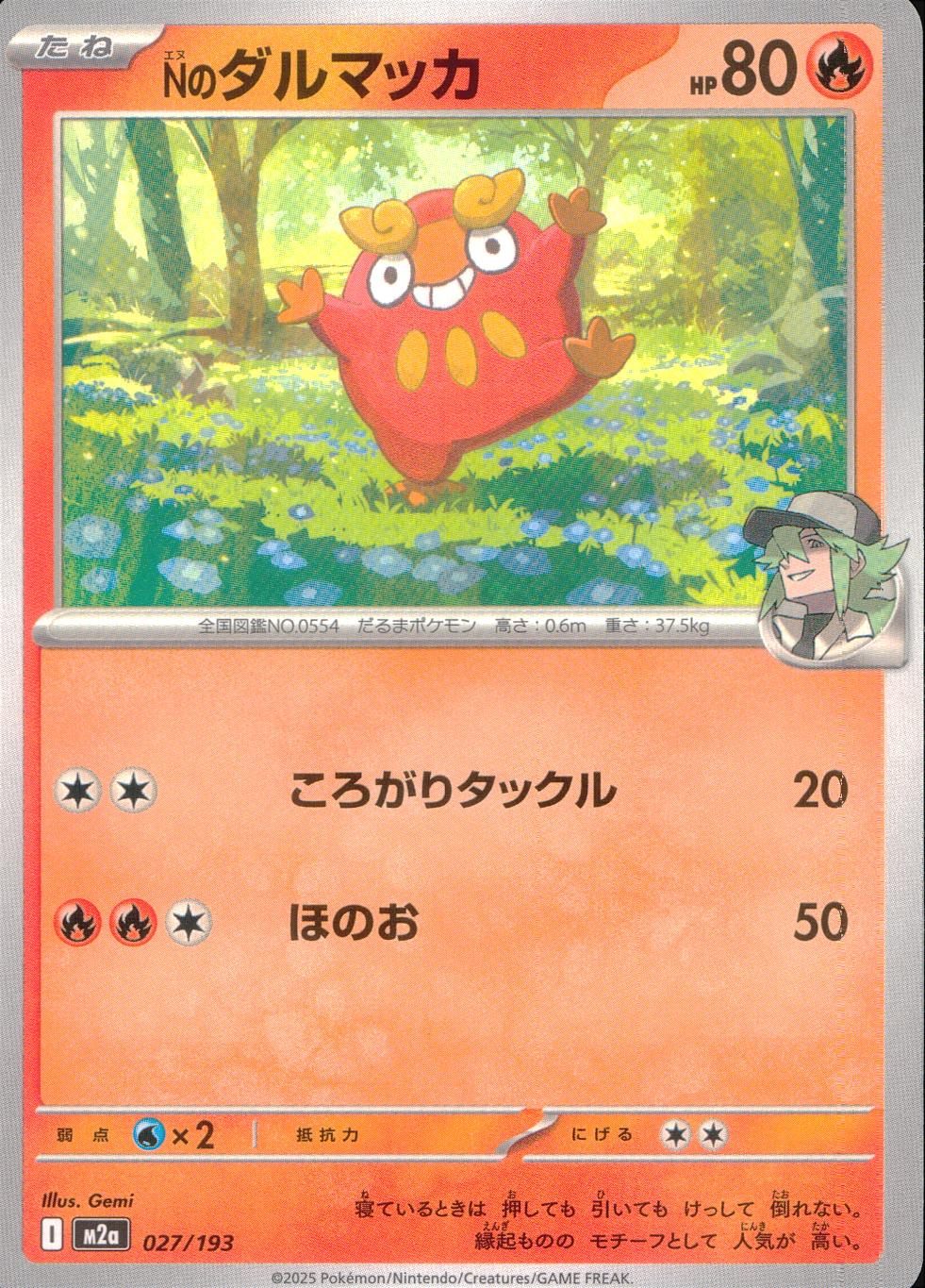 027/193/M2a Nのダルマッカ