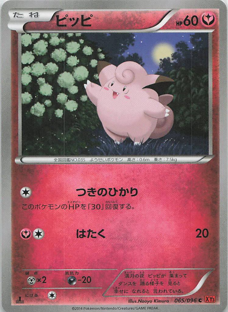 065/096/XY3/C ピッピ
