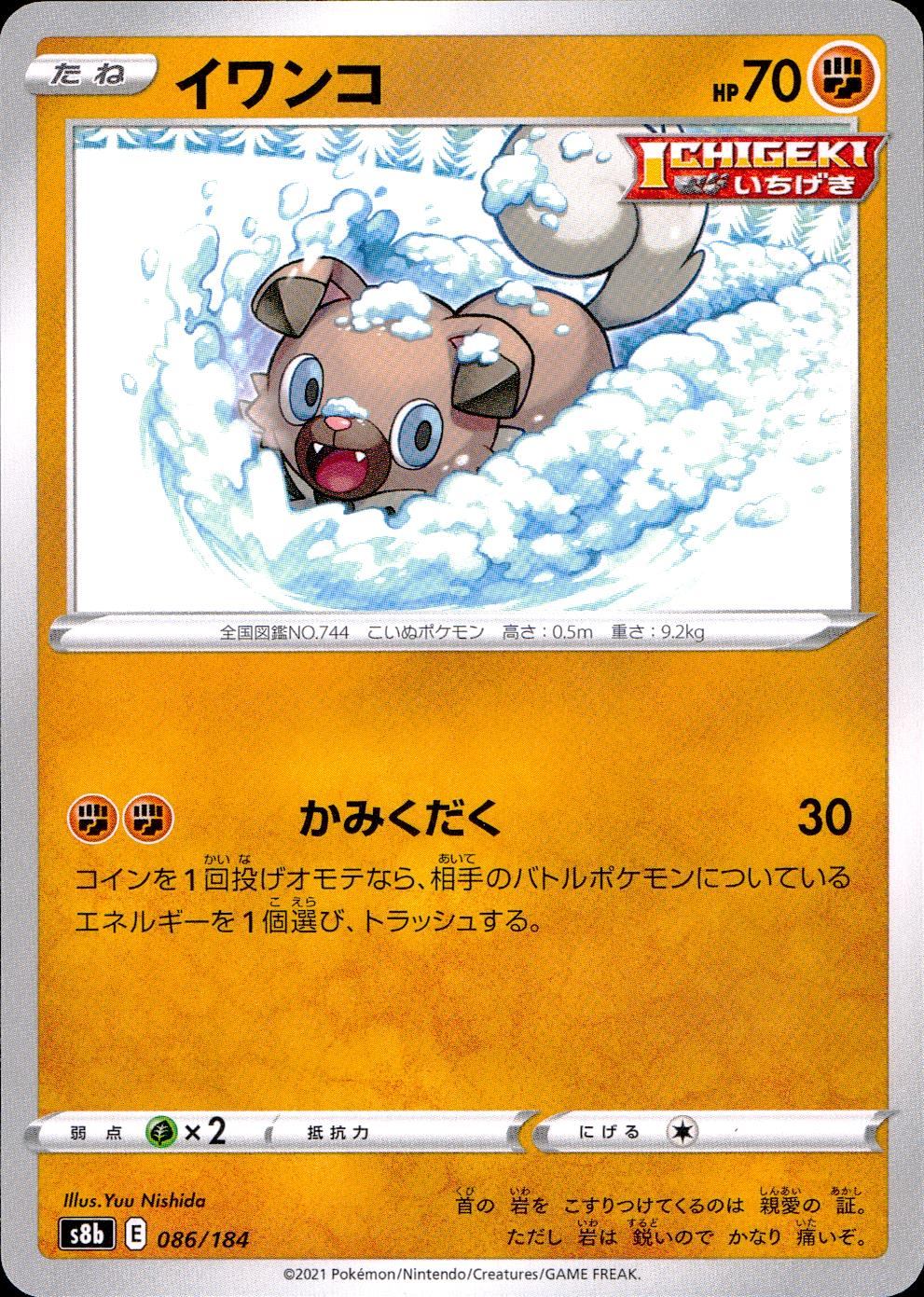 086/184/S8B/B Rock Thrush